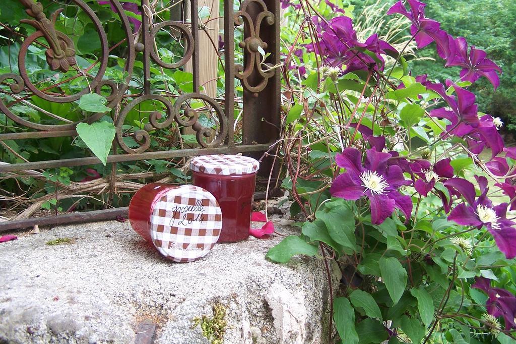 Villa Domaine de Salomony à Marcols-les-Eaux Extérieur photo